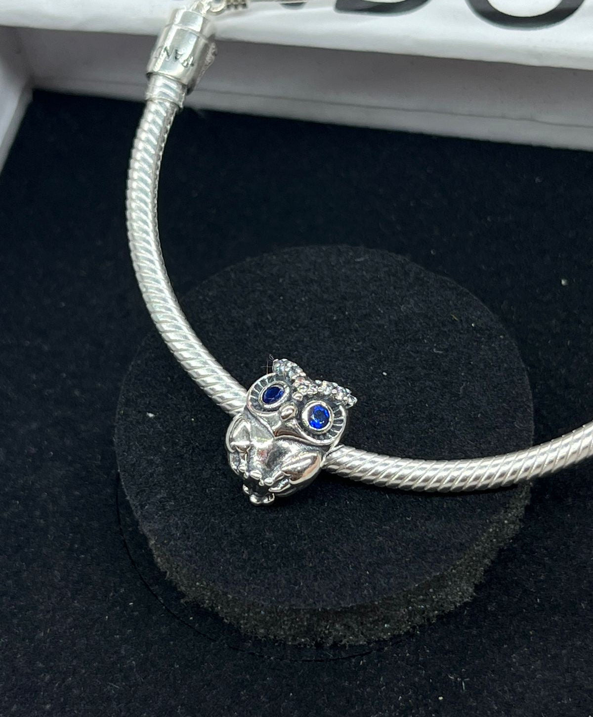 Pandora Bracelet Owl Charm Multicoloured Graduation Owl Charm Fit