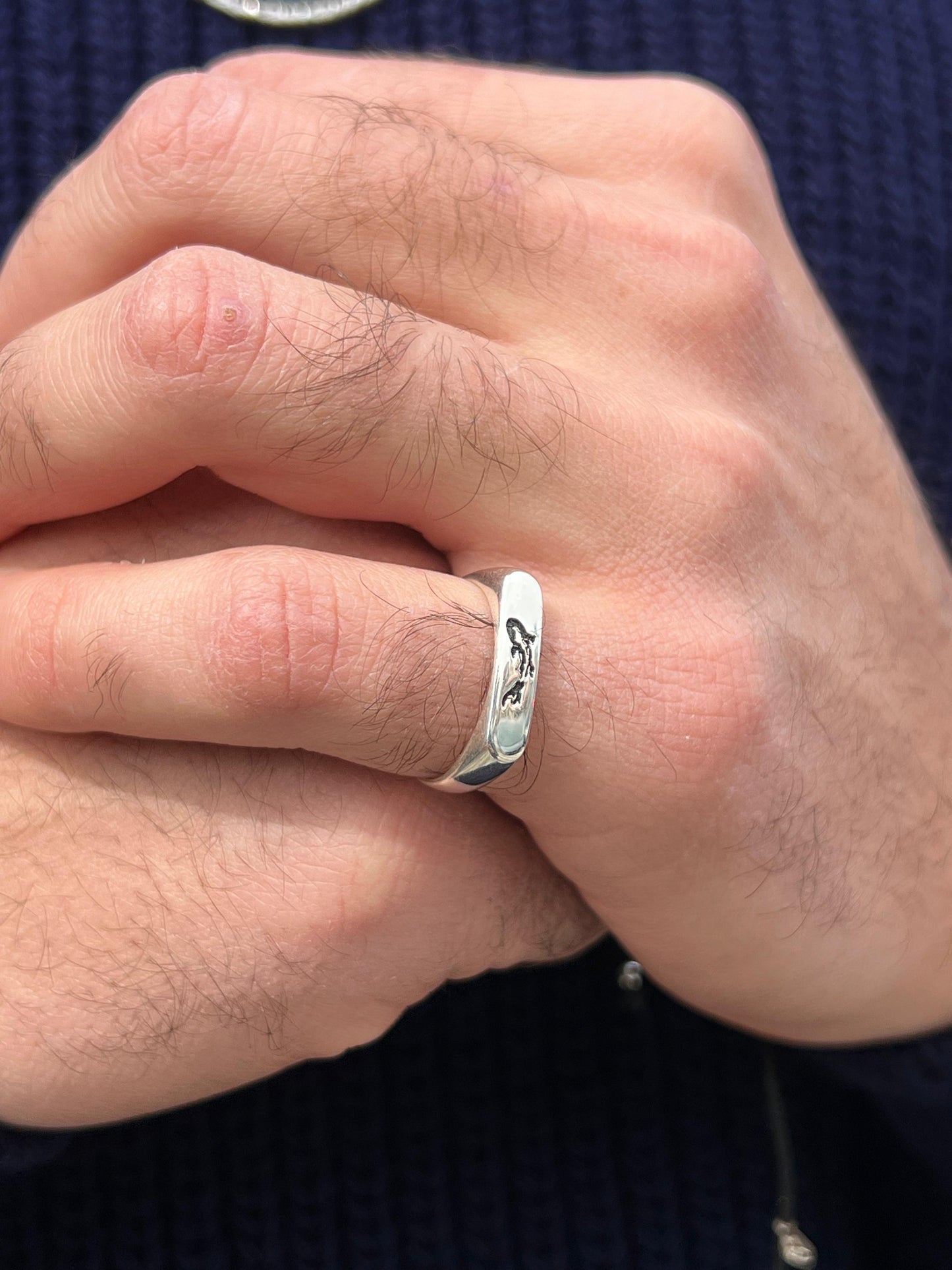 Aquatic Ring for Men in Sterling Silver 925s