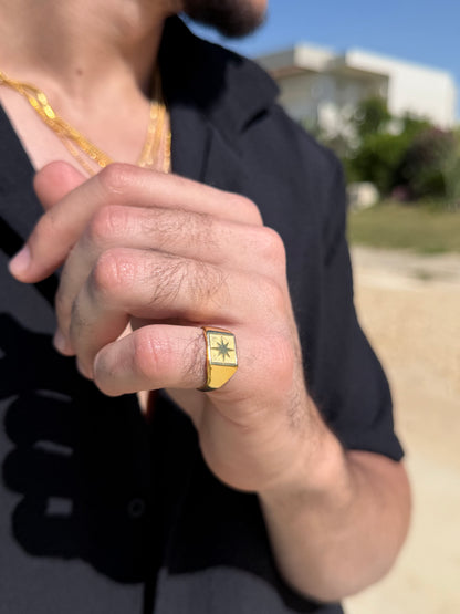 Northbound Ring in Sterling Silver 925s-Fine Gold Plated