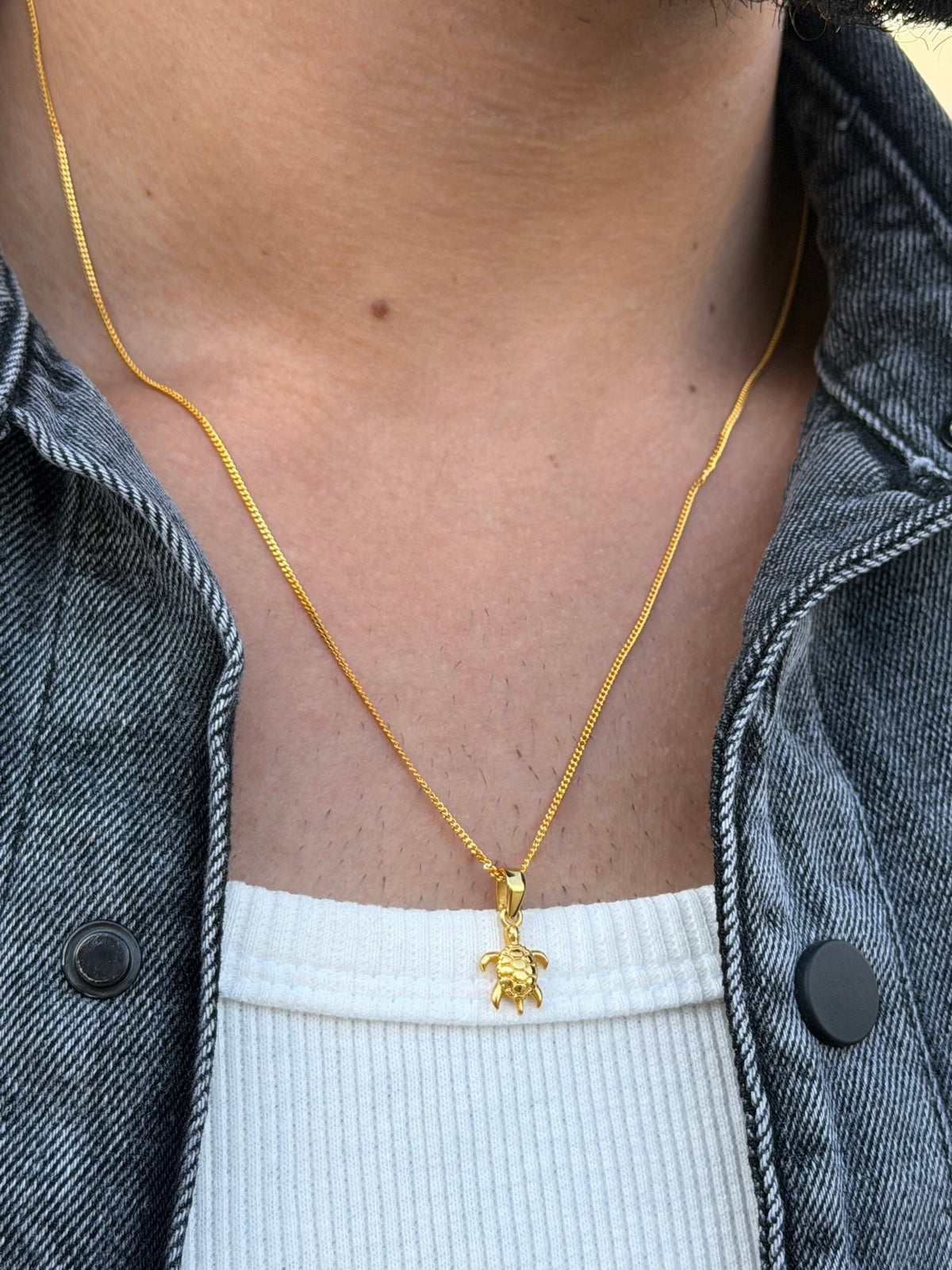 Chelon Turtle Necklaces for Men's Sterling Silver 925s-Gold plated