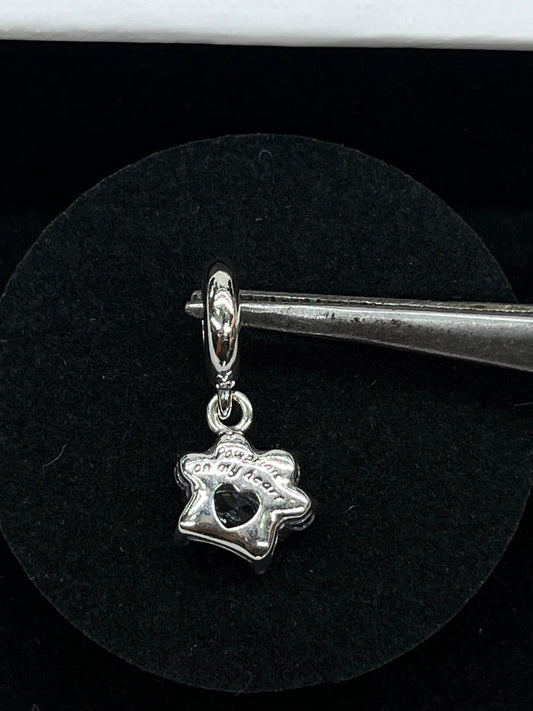 Paw Sterling Silver925-Charm🐾