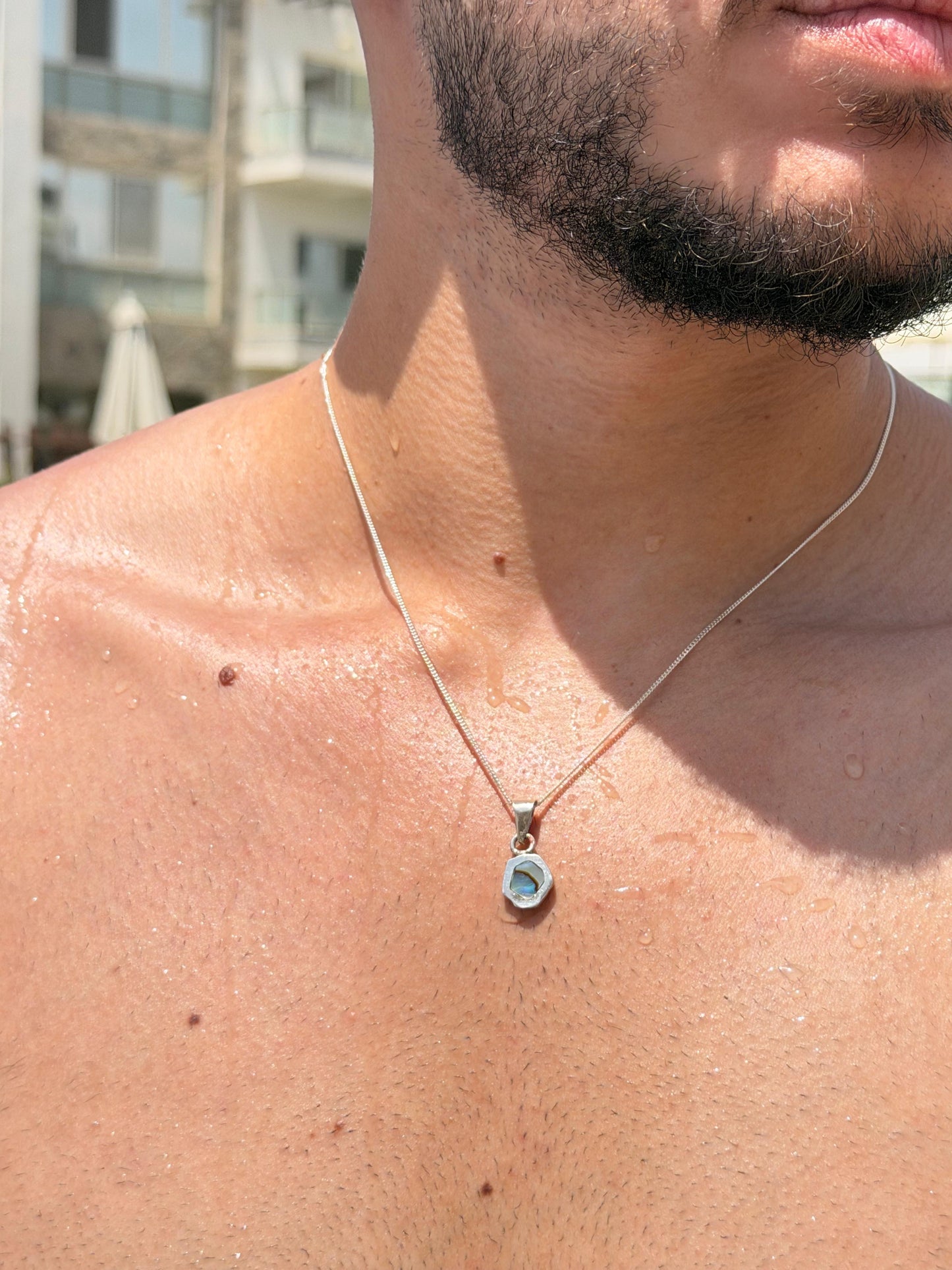Abalone shells irregular Necklace in Sterling Silver 925s