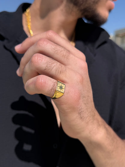 Northbound Ring in Sterling Silver 925s-Fine Gold Plated