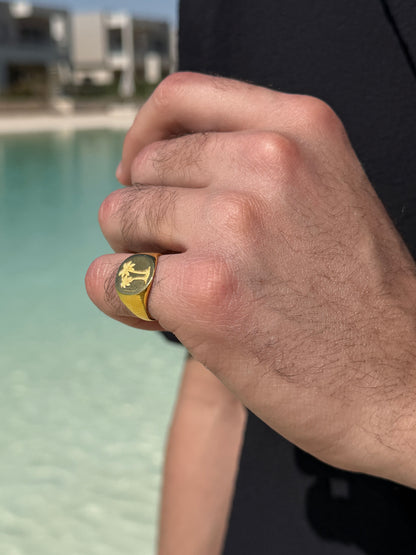 Palm Paradise Ring in Sterling Silver 925s-Fine Gold Plated